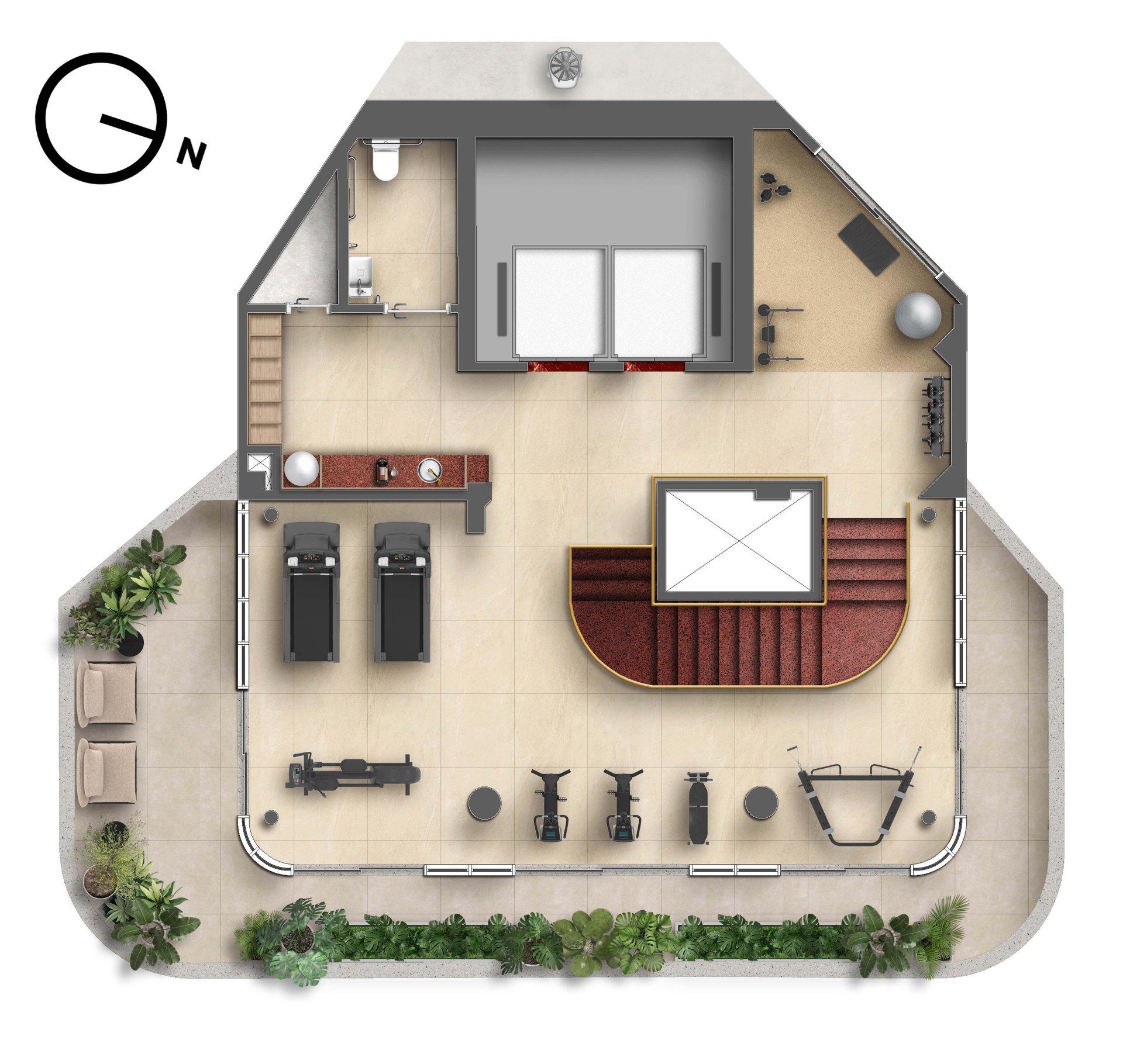 Planta 5